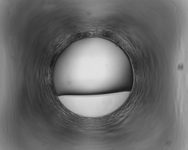 X0000100191298200805300716