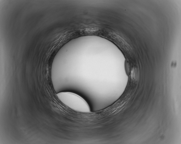 X0000100191299200805300716