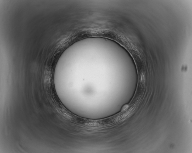 X0000100191300200805300716