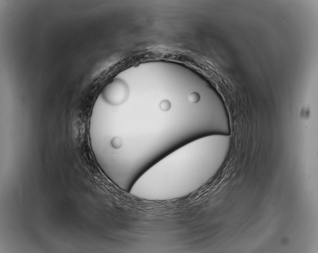 X0000100191302200805300716