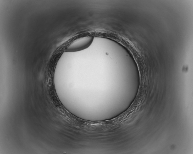 X0000100191303200805300716