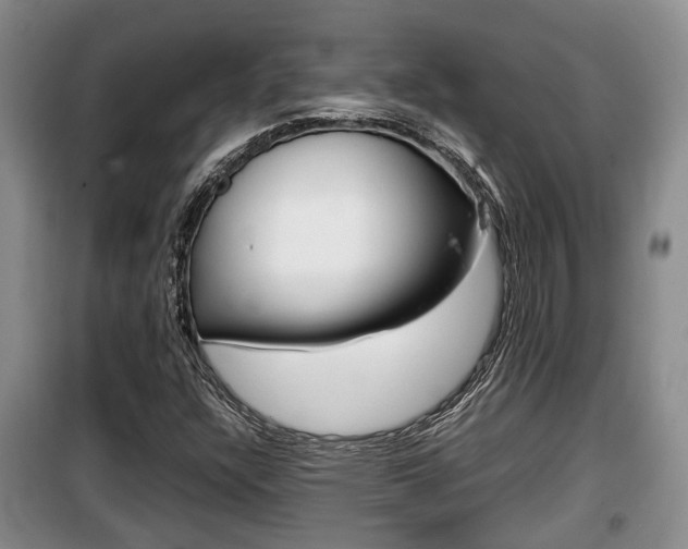 X0000100191304200805300716