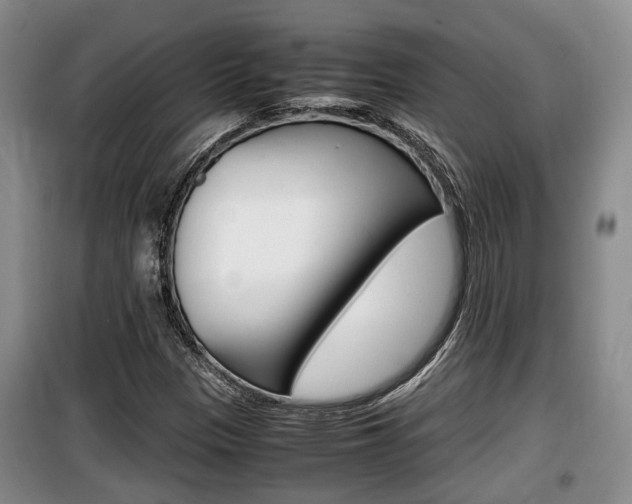 X0000100191305200805300716