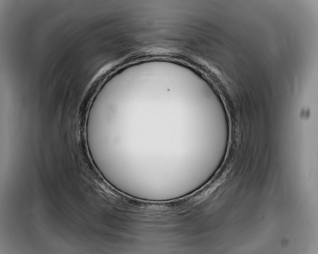X0000100191306200805300716