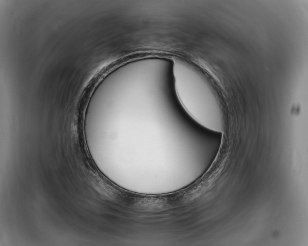 X0000100191307200805300716