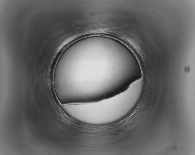 X0000100191308200805300716