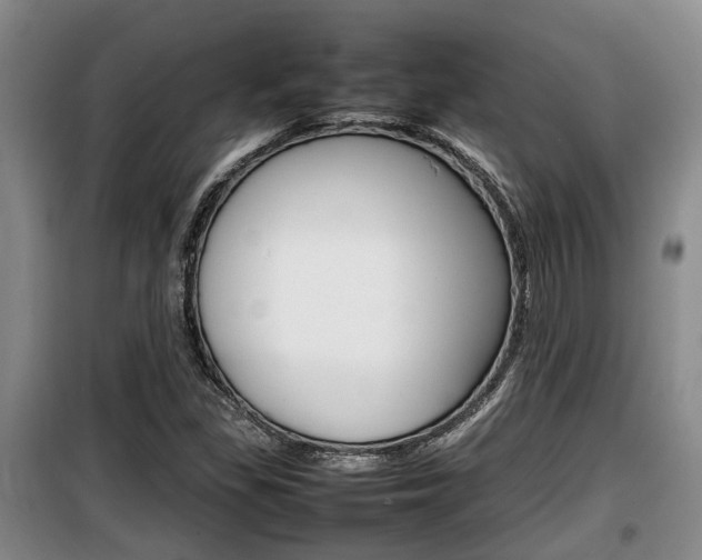 X0000100191309200805300716