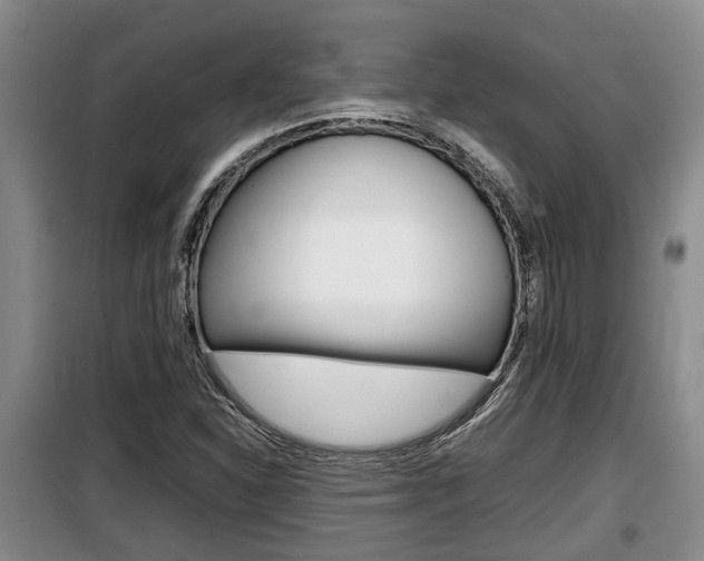 X0000100191310200805300716
