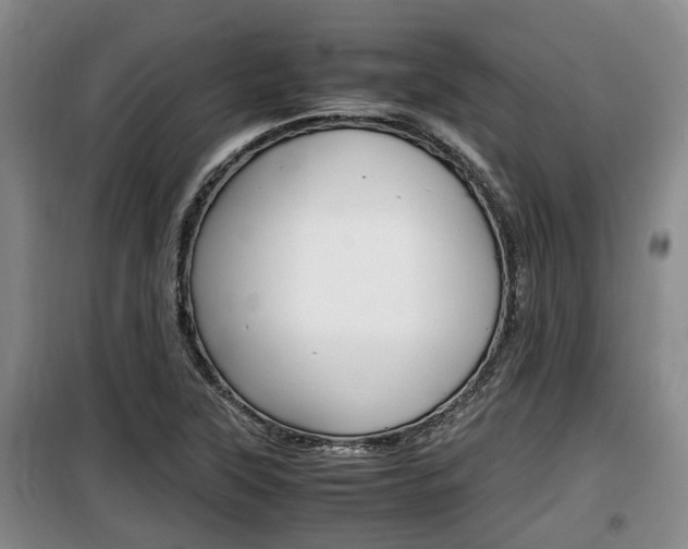 X0000100191315200805300716