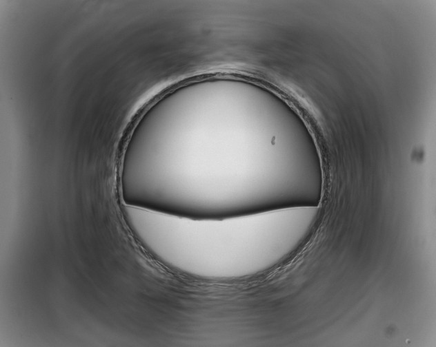 X0000100191316200805300716