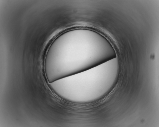 X0000100191318200805300716