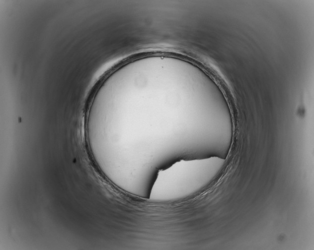 X0000100191320200805300716