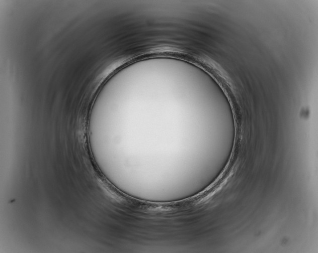 X0000100191321200805300716