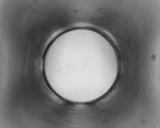 X0000100191322200805300716