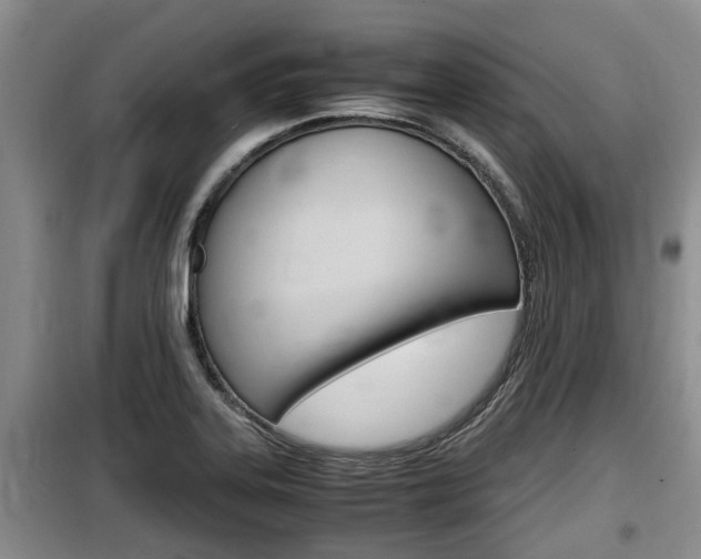 X0000100191323200805300716