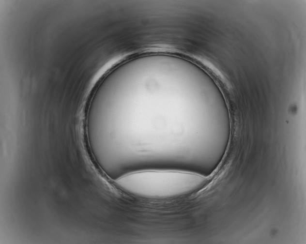 X0000100191325200805300716