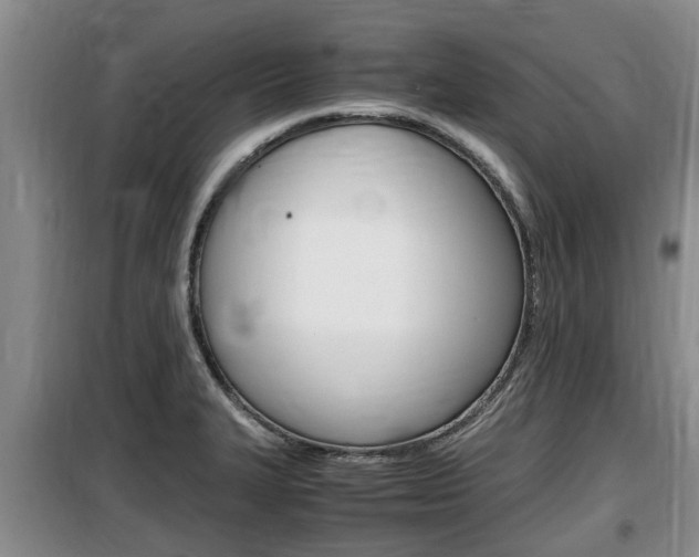 X0000100191327200805300716