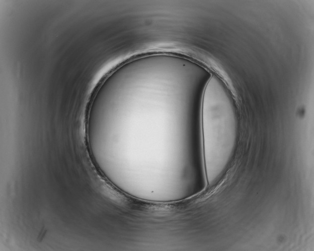 X0000100191328200805300716
