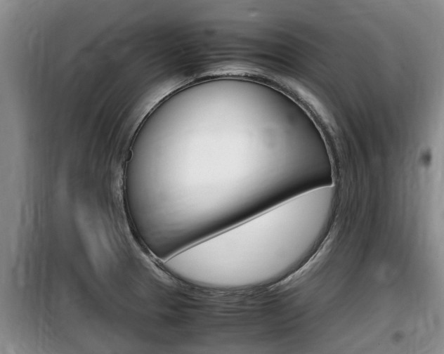 X0000100191329200805300716