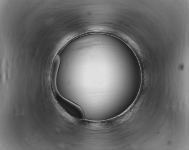 X0000100191330200805300716