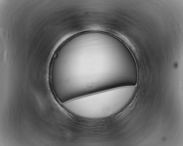 X0000100191331200805300716