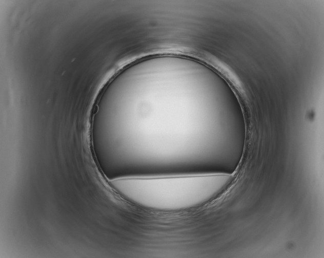 X0000100191332200805300716