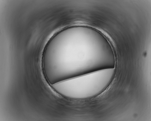 X0000100191333200805300716