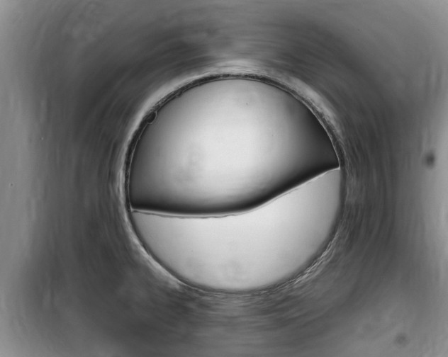 X0000100191334200805300716