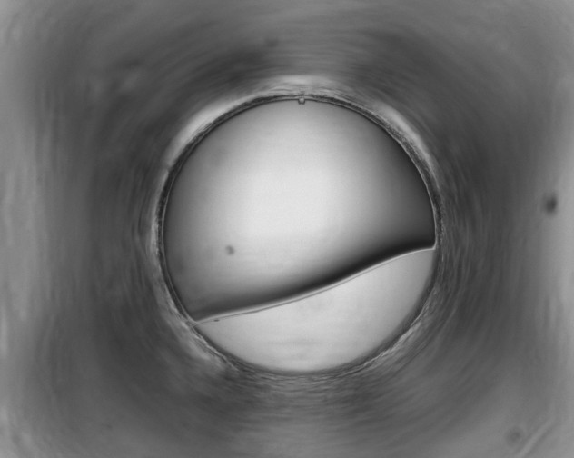 X0000100191336200805300716