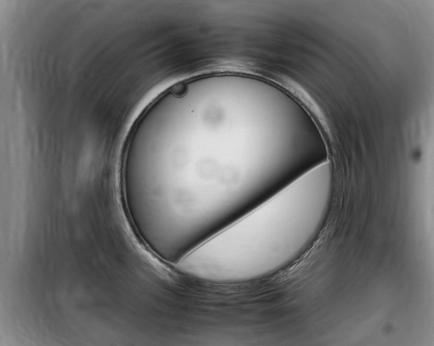 X0000100191339200805300716