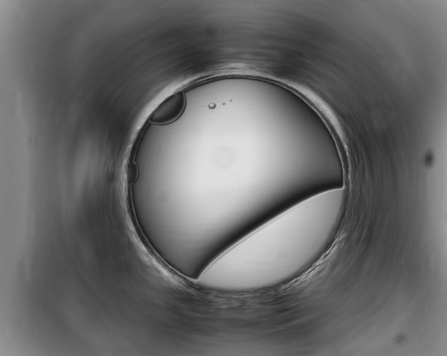 X0000100191341200805300716