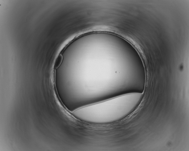 X0000100191342200805300716
