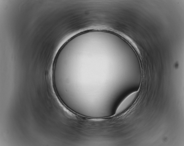 X0000100191343200805300716