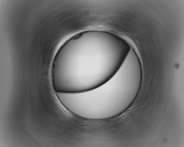 X0000100191344200805300716