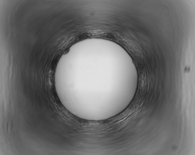 X0000100191346200805300715