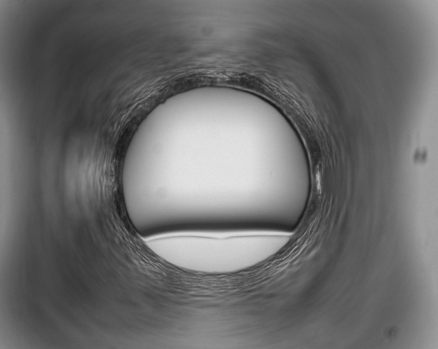 X0000100191347200805300715