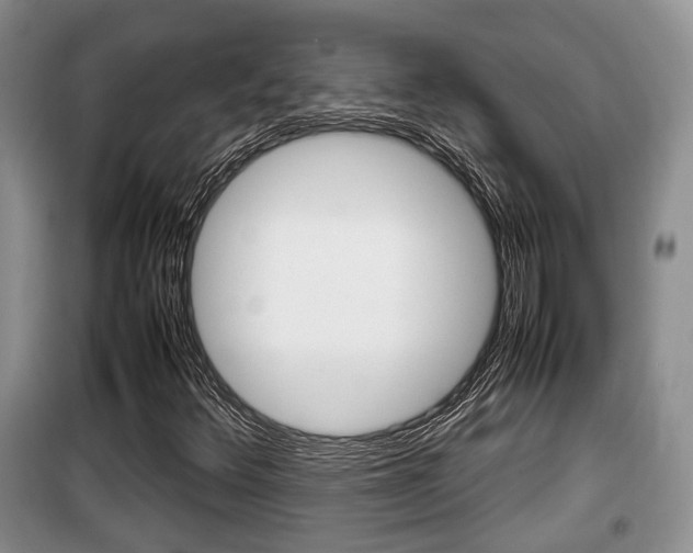 X0000100191348200805300715