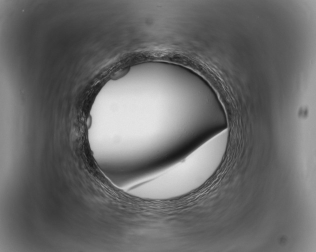 X0000100191349200805300715