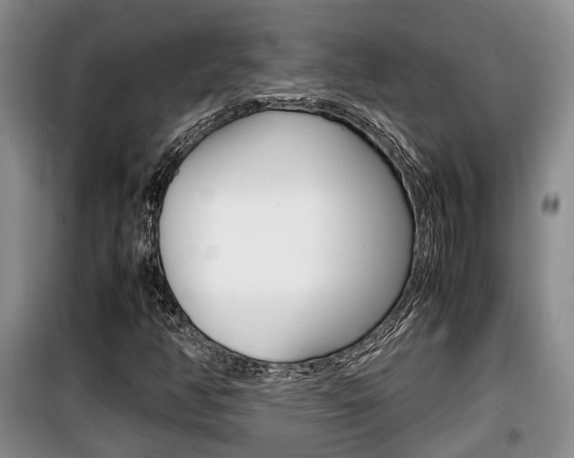 X0000100191350200805300715