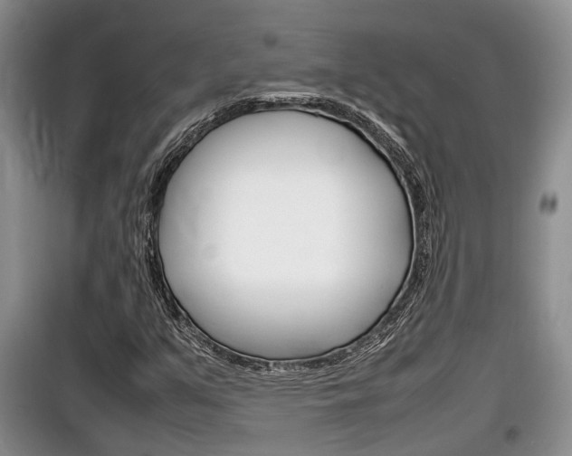 X0000100191351200805300715