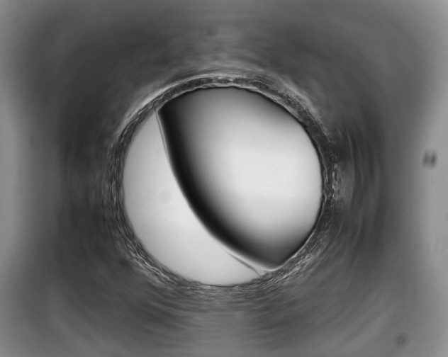 X0000100191352200805300715