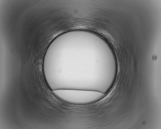 X0000100191353200805300715