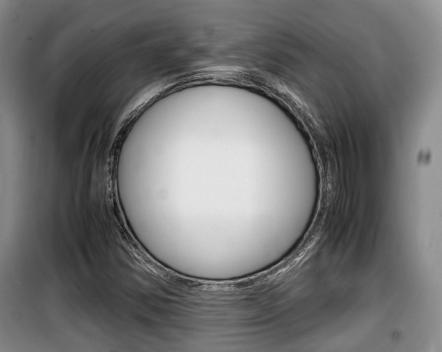 X0000100191354200805300715