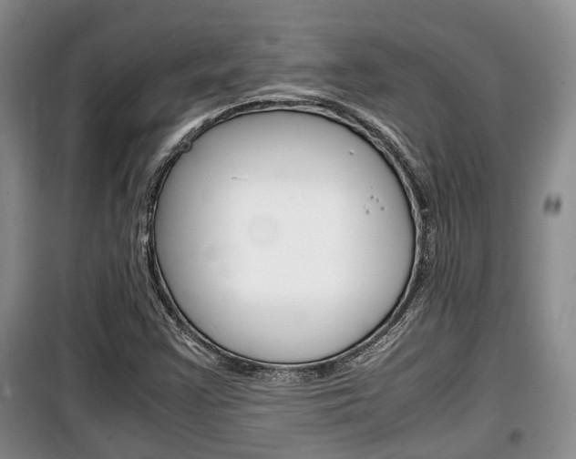 X0000100191355200805300715