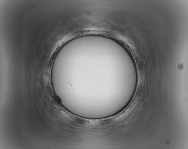 X0000100191357200805300715