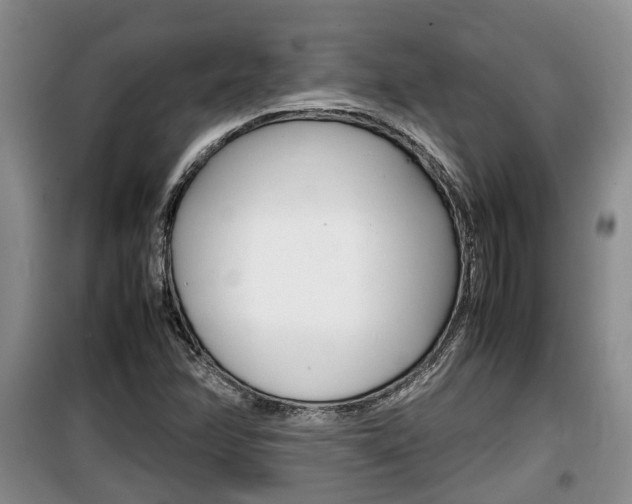 X0000100191358200805300715