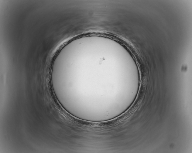 X0000100191359200805300715
