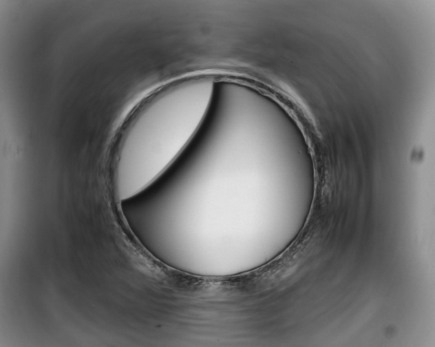 X0000100191360200805300715