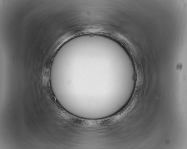 X0000100191361200805300715