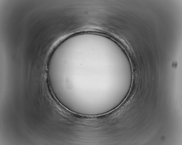 X0000100191363200805300715